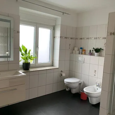 Guenstige Zimmer-unterkunft Mit Gemeinschaftsbad Apartament Lörrach