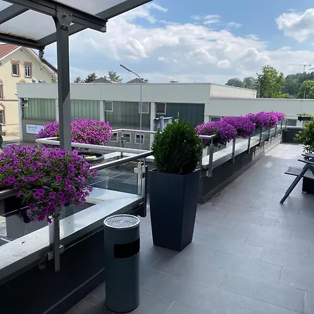 Guenstige Zimmer-unterkunft Mit Gemeinschaftsbad Apartament Lörrach